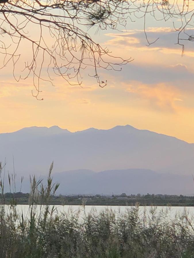 Mobilhome Canet En Roussillon - Canet Plage Loc 외부 사진